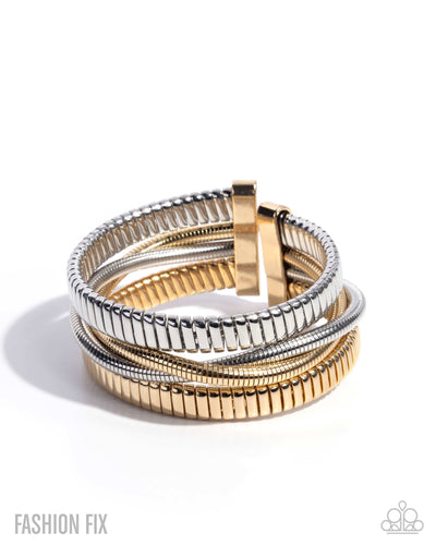 Paparazzi Resolute Recognition - Multi